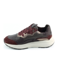 Xsensible Rainbow 33011.3 Bordeaux
