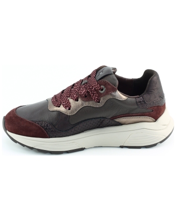 Xsensible Rainbow 33011.3 sneakers bordeaux
