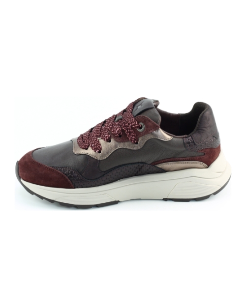 Xsensible Rainbow 33011.3 Bordeaux