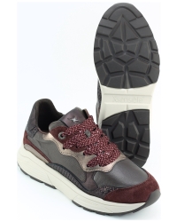 Xsensible Rainbow 33011.3 Bordeaux