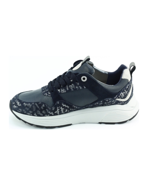 Xsensible Newport 33012.3 Donkerblauw