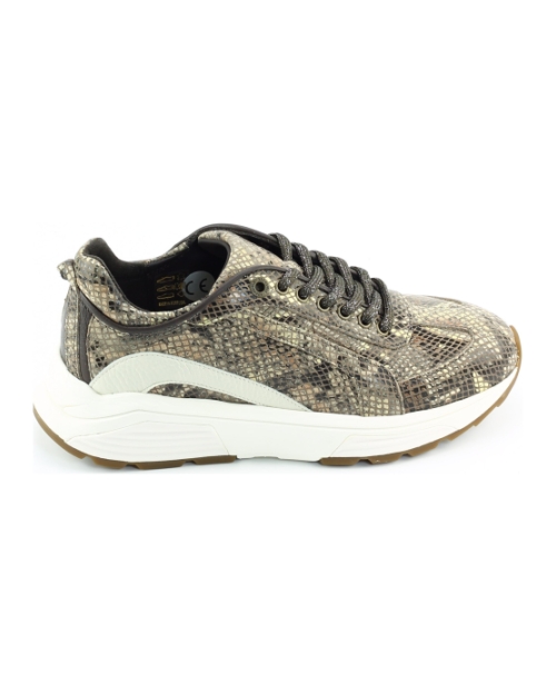 Xsensible Bailey 33013.4 Brons