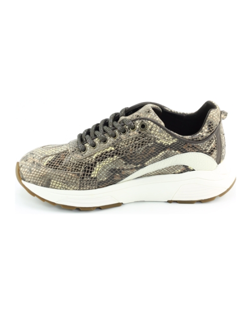 Xsensible Bailey 33013.4 Brons