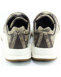 Xsensible Bailey 33013.4 Brons