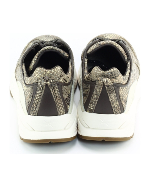 Xsensible Bailey 33013.4 Brons