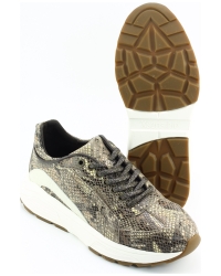 Xsensible Bailey 33013.4 Brons