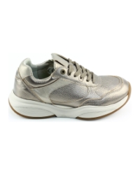 Xsensible SWX27 32009.4 Brons