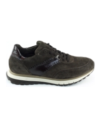 Gabor 6029.02.002 Brons