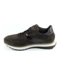 Gabor 6029.02.002 Brons