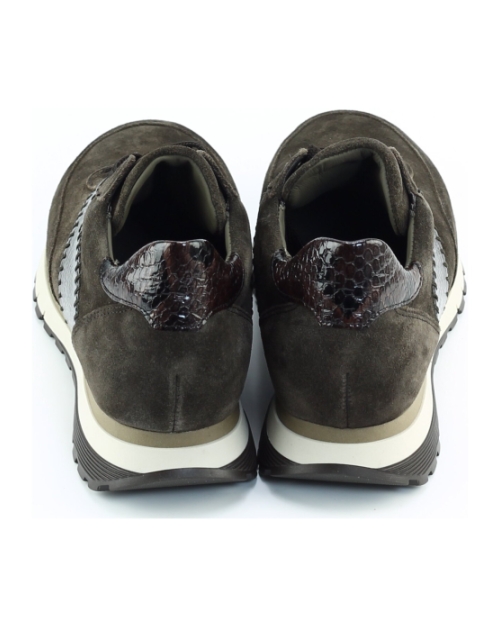 Gabor 6029.02.002 Brons