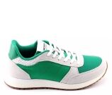 Kleur Groen