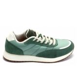 Kleur Groen