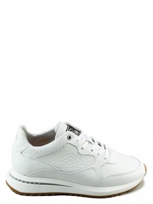 Floris van Bommel Floris van Bommel SFW-10119 Sumi 06.11 Wit