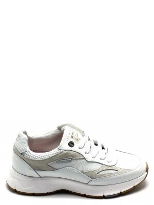 Floris van Bommel Floris van Bommel SFW-10101 Wit