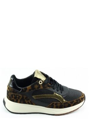 Floris van Bommel Floris van Bommel SFW-10138 Bruin Floris van Bommel Floris van Bommel SFW-10138 Bruin