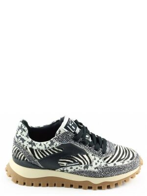 Floris van Bommel Floris van Bommel SFW-10143 Zwart Floris van Bommel Floris van Bommel SFW-10143 Zwart