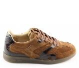 Kleur Cognac