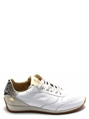 Fred de la bretoniere Fred de la bretoniere vlora sign snake Wit