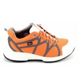 Kleur Oranje