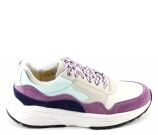 Kleur Multicolor
