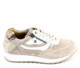 Kleur Beige