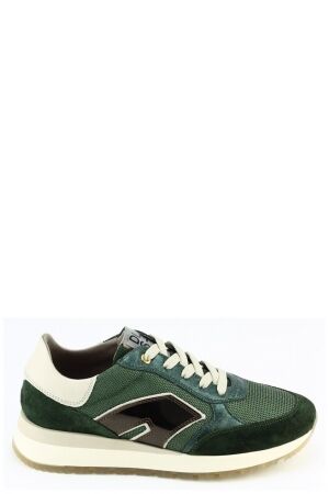 DL Sport DL Sport 6334 Groen loden