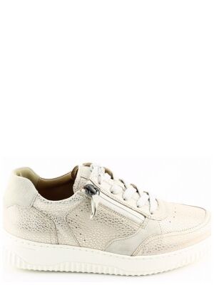 Hartjes Hartjes 162.1952 boogie Goud