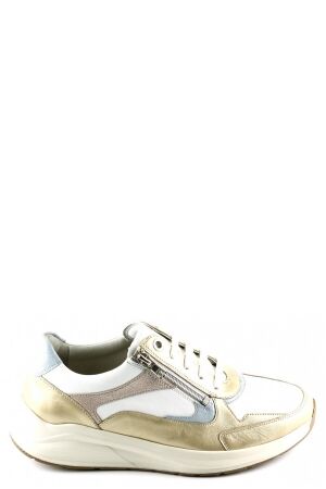 Solidus Solidus 54501 Goud 40617 gold multi