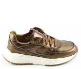Kleur Brons