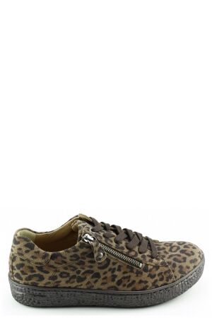 Hartjes Hartjes 162.1401 Bruin 52.00 leo Hartjes Hartjes 162.1401 Bruin 52.00 leo