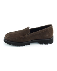 Sioux cortizia 514244 Donkerbruin