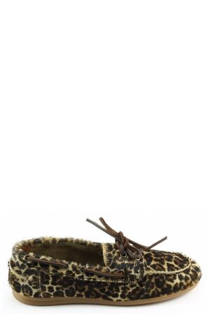 semerdjian semerdjian napoli cavallino Bruin orsy