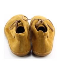 El Naturalista n5290 elviajero cognac