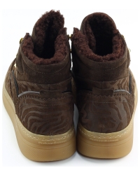 Floris van Bommel Fygi 02.00 SFW-10175 BRUIN