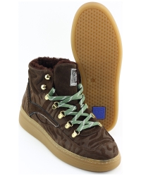 Floris van Bommel Fygi 02.00 SFW-10175 BRUIN