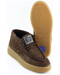 Floris van Bommel Fygi 03.00 SFW-10179 BRUIN