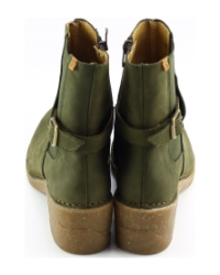 El Naturalista n5669 Groen