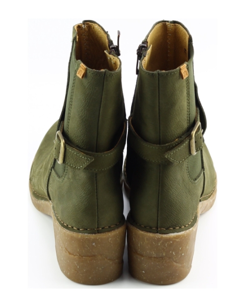 El Naturalista n5669 Groen