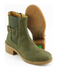 El Naturalista n5669 Groen