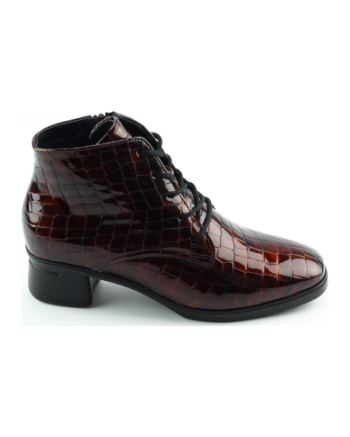 Hartjes 172.1903 veterboots bruin