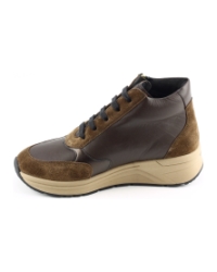 Solidus 59081 BRUIN MULTI