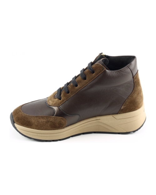 Solidus 59081 BRUIN MULTI