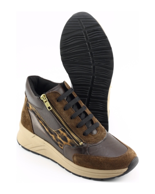 Solidus 59081 BRUIN MULTI