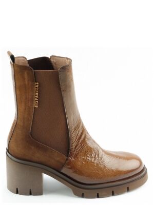 Hispanitas Hispanitas 254313 Bruin