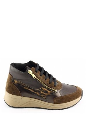 Solidus Solidus 59081 Bruin Solidus Solidus 59081 Bruin