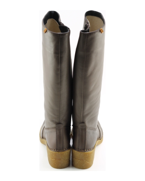 El Naturalista n56635 BRUIN