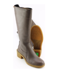 El Naturalista n56635 BRUIN